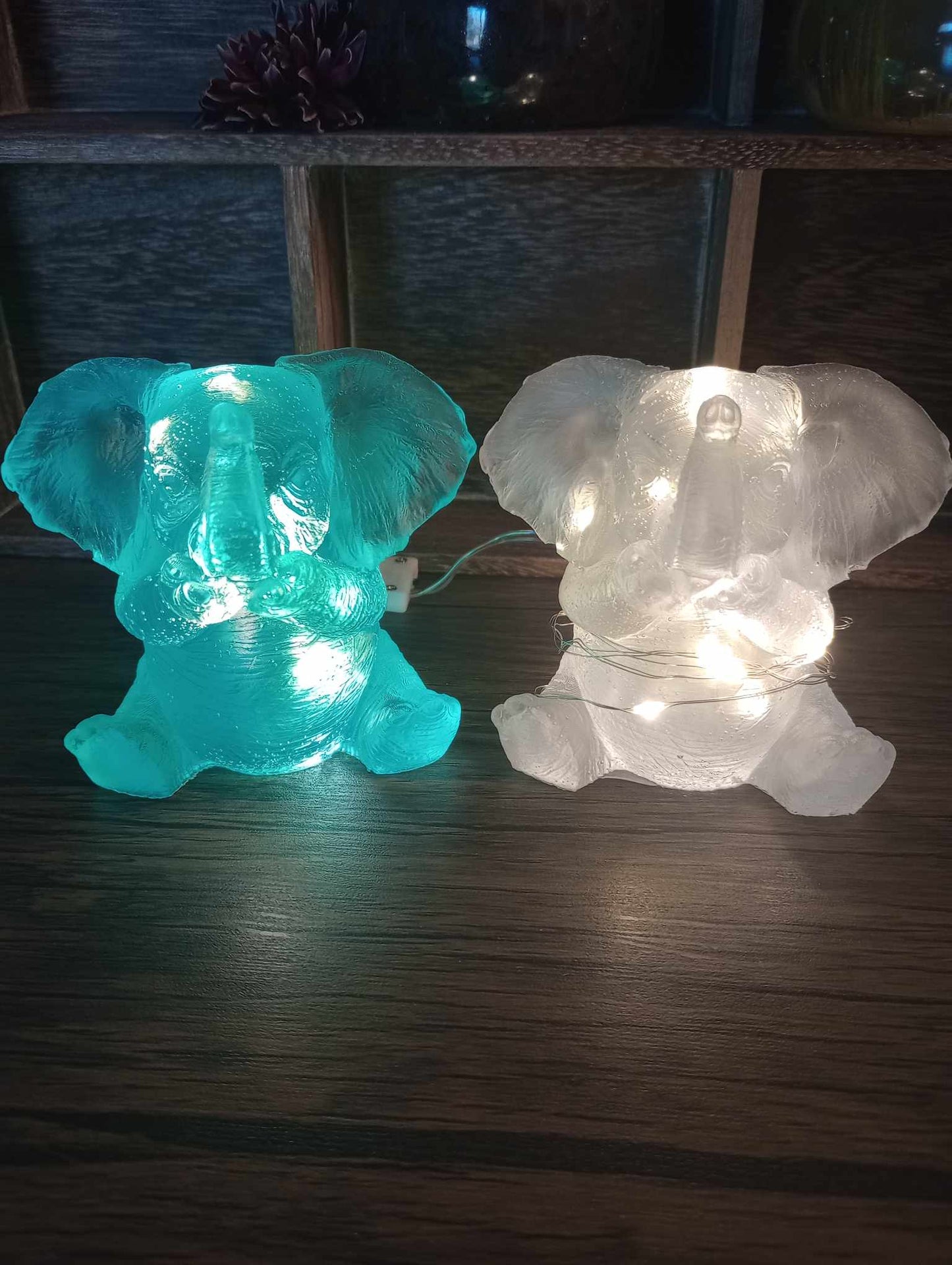 Elephant Night Night