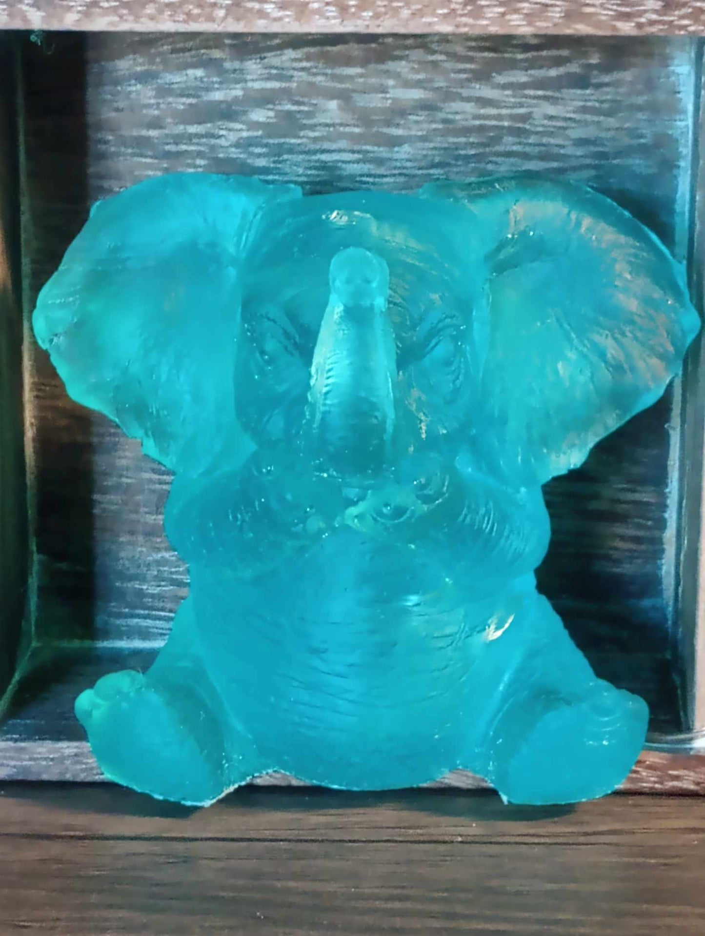 Elephant Night Night