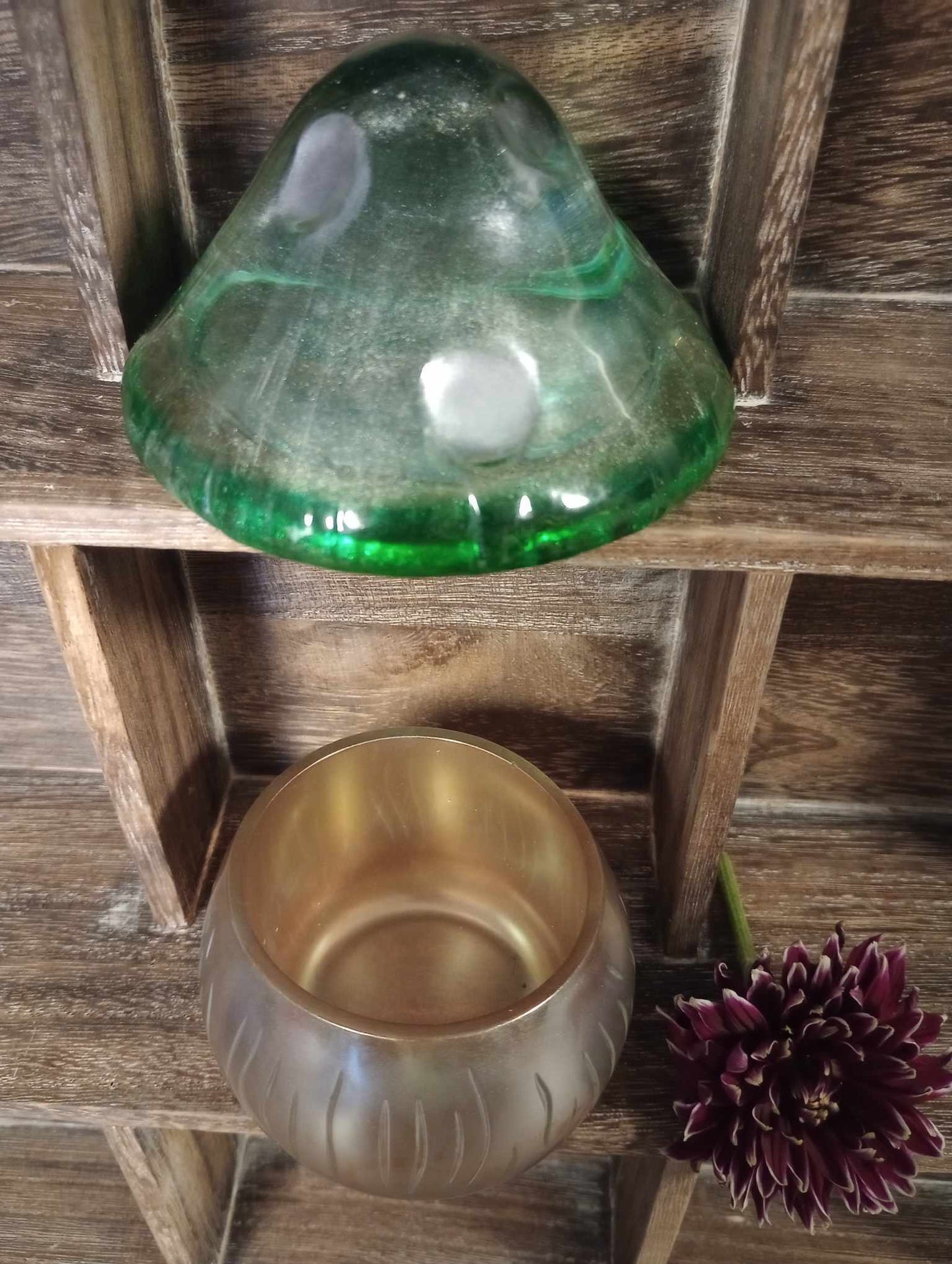 Mushroom jars